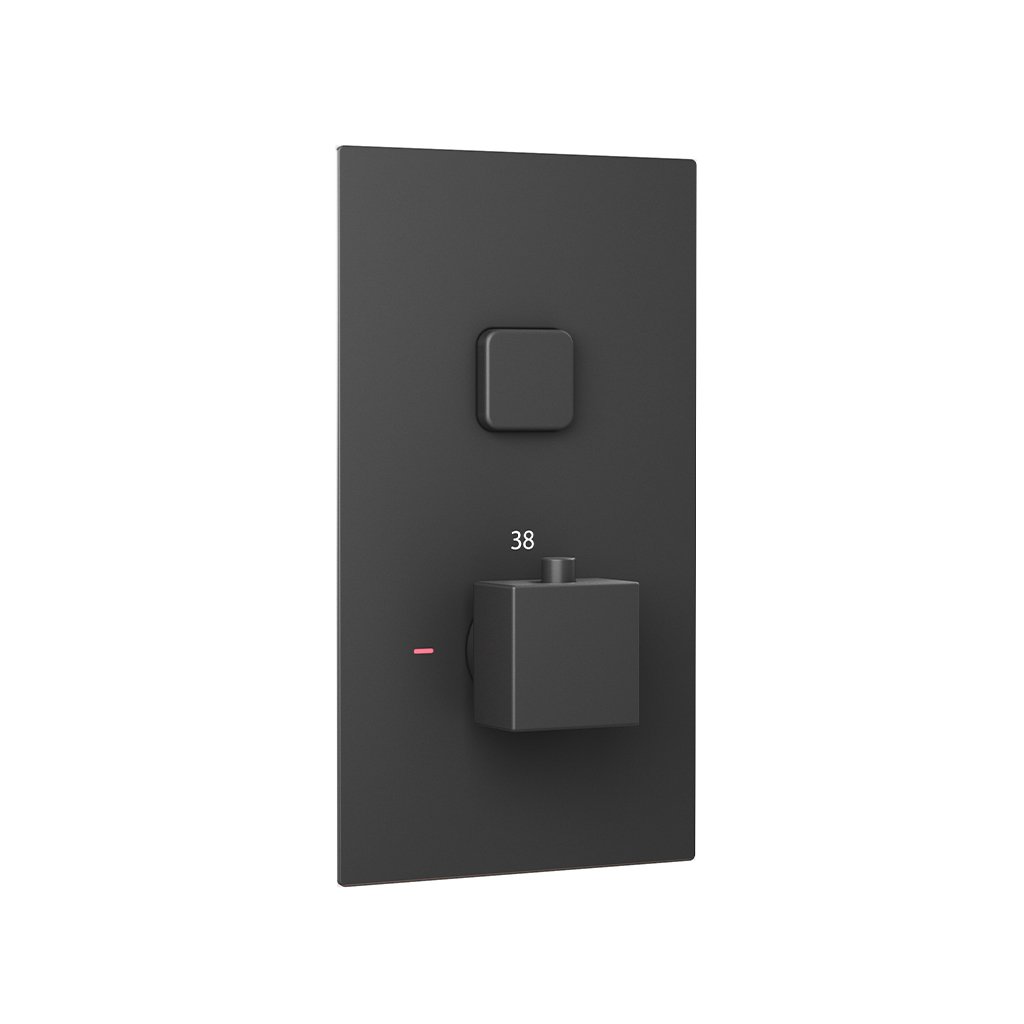 Concealed Thermostatic Shower Valve with Single Square Push Button - Matt Smooth Black