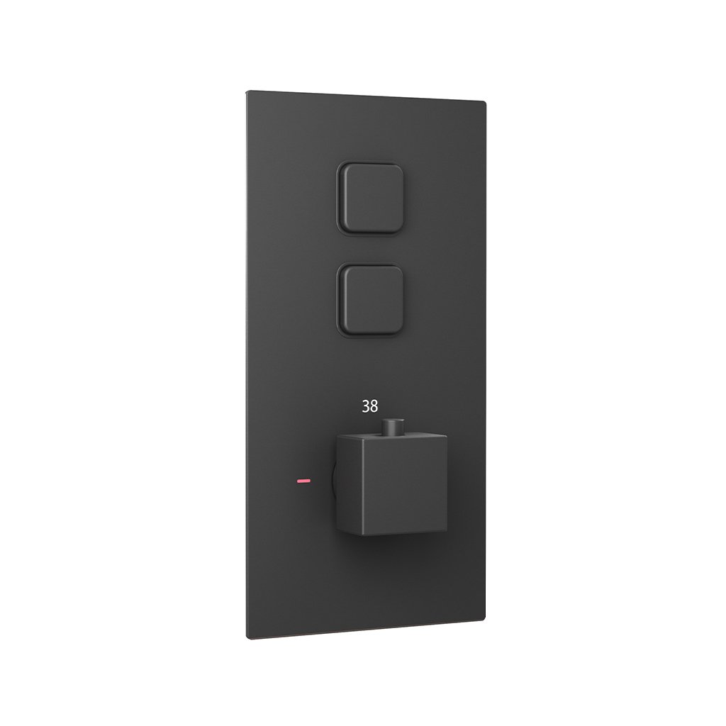 Concealed Thermostatic Shower Valve with Double Square Push Button - Matt Smooth Black