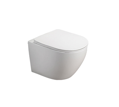 Vienne Soft Close Toilet Seat - White