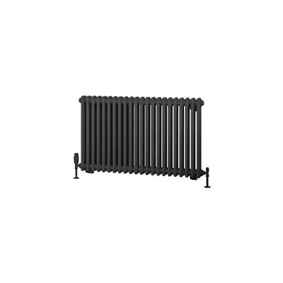 Rivassa 2 Column Radiator 600 x 1010mm Matt Anthracite