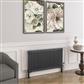 Imperia 2 Column Radiator 600 x 1145mm Matt Anthracite