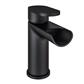 Ledwell Basin Mono Tap with Waste Matt Black