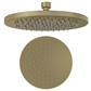 Meriden 10" (250mm) Round Easy Clean Shower Head - Brushed Brass